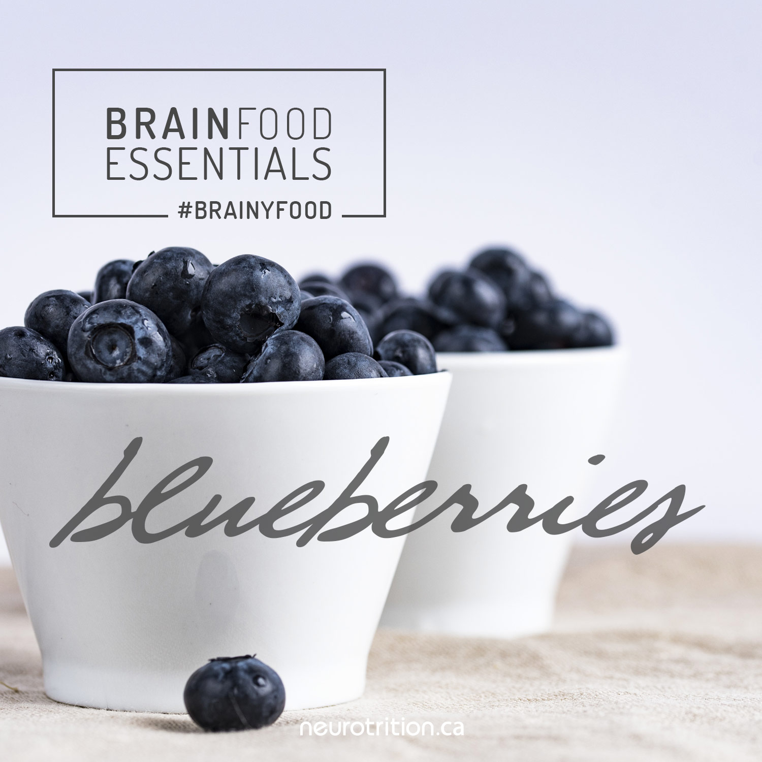 Brain Food Essentials :: Blueberries