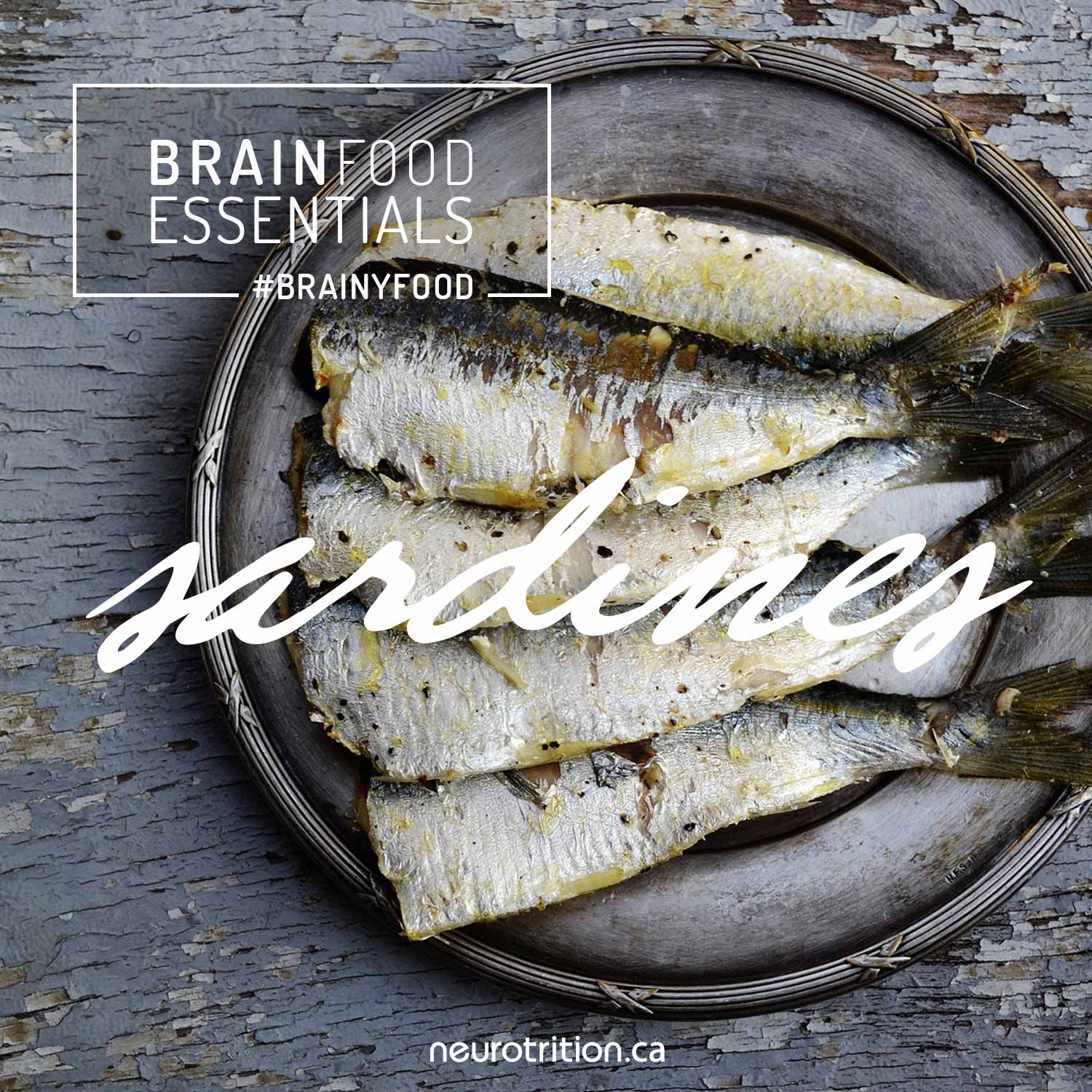 Brain Food Essentials: Sardines 