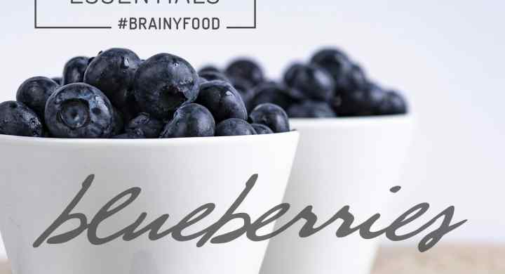 Brain Food Essentials :: Blueberries