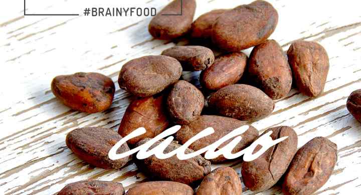  Brain Food Essentials :: Cacao